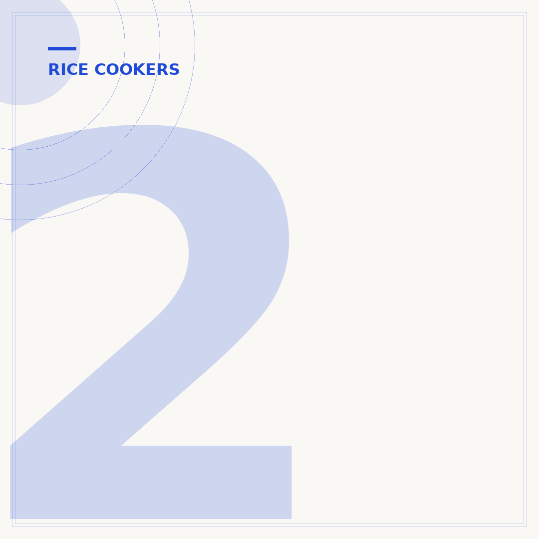 2 Cup Rice Cooker: Compact Cooking for Singles & Couples