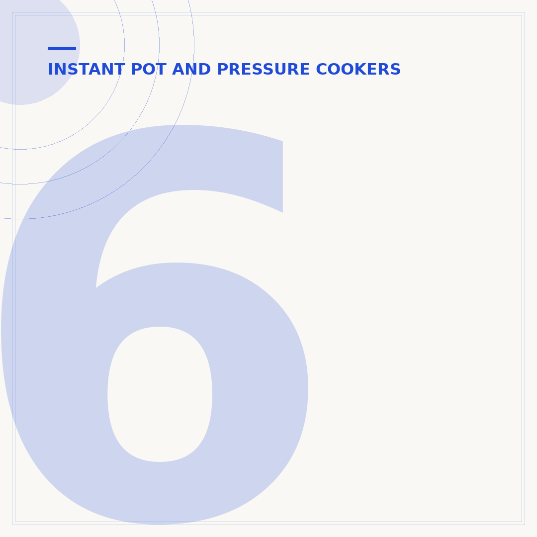 6 Quart Instant Pot