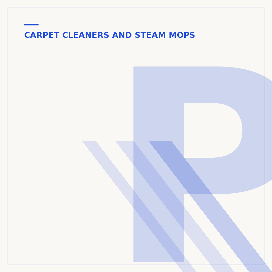 Professional Carpet Cleaner Service: What to Expect