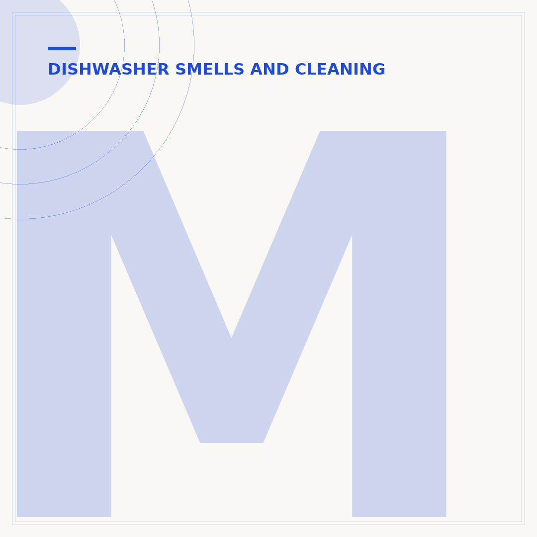 Musty Smell From Dishwasher: Causes and How to Eliminate It