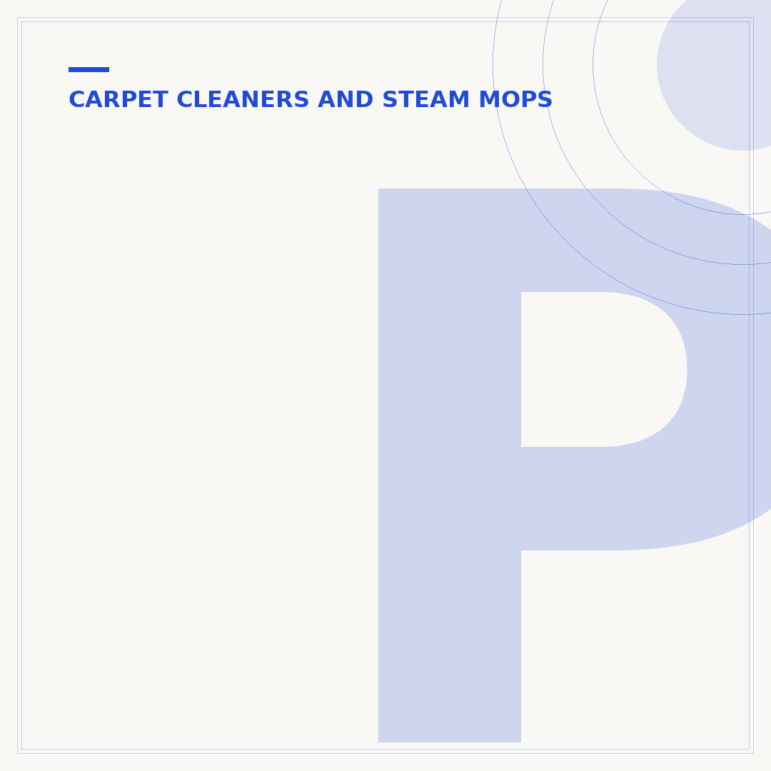 Professional Carpet Steam Cleaner: Deep Cleaning Power