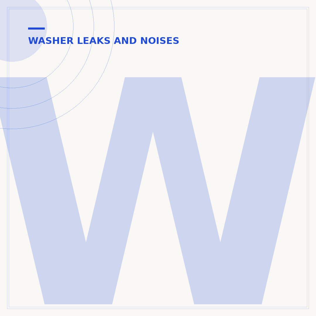 Washer Water Inlet Valve Leaking: What To Check