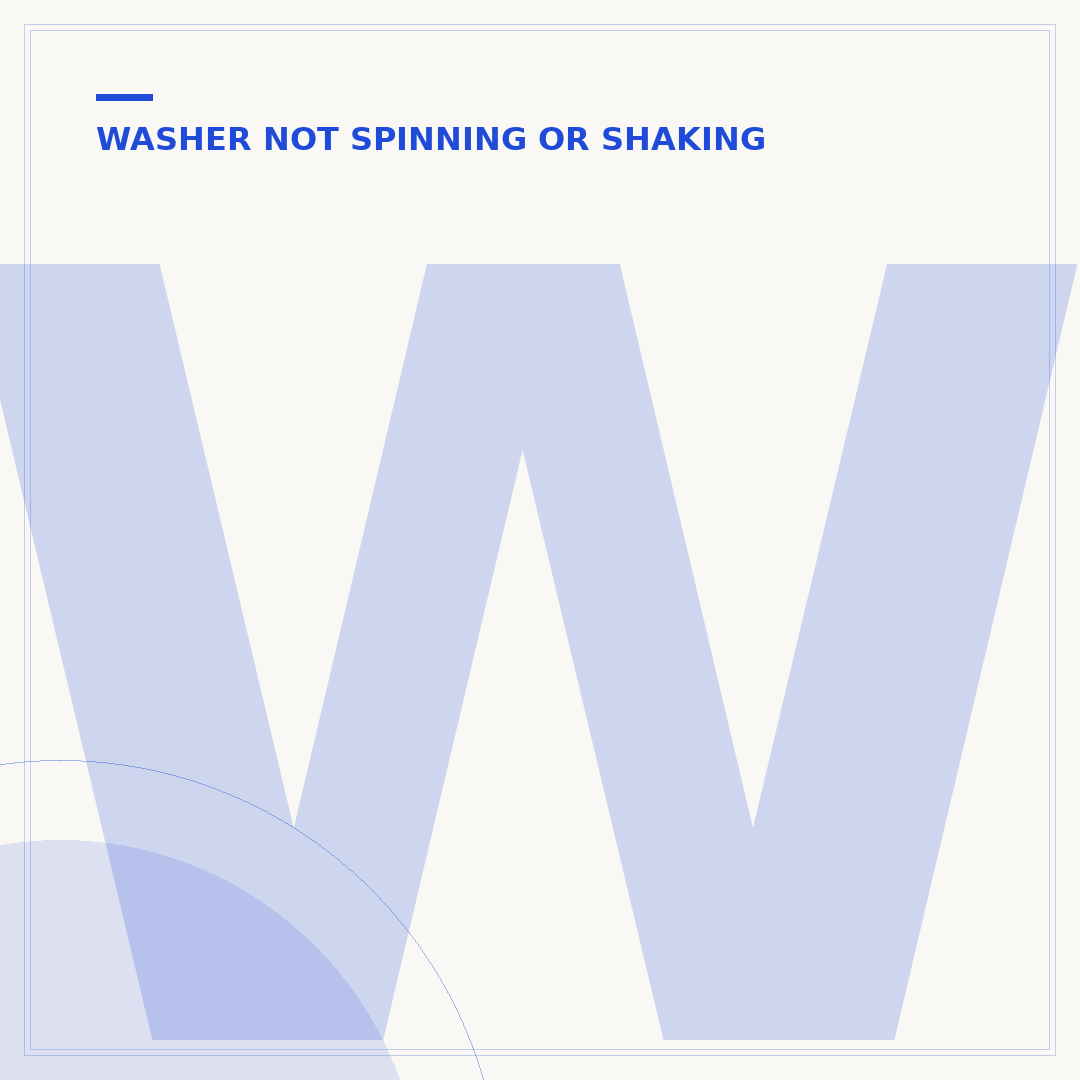 Washing Machine Squealing When Spinning: Causes & Fixes