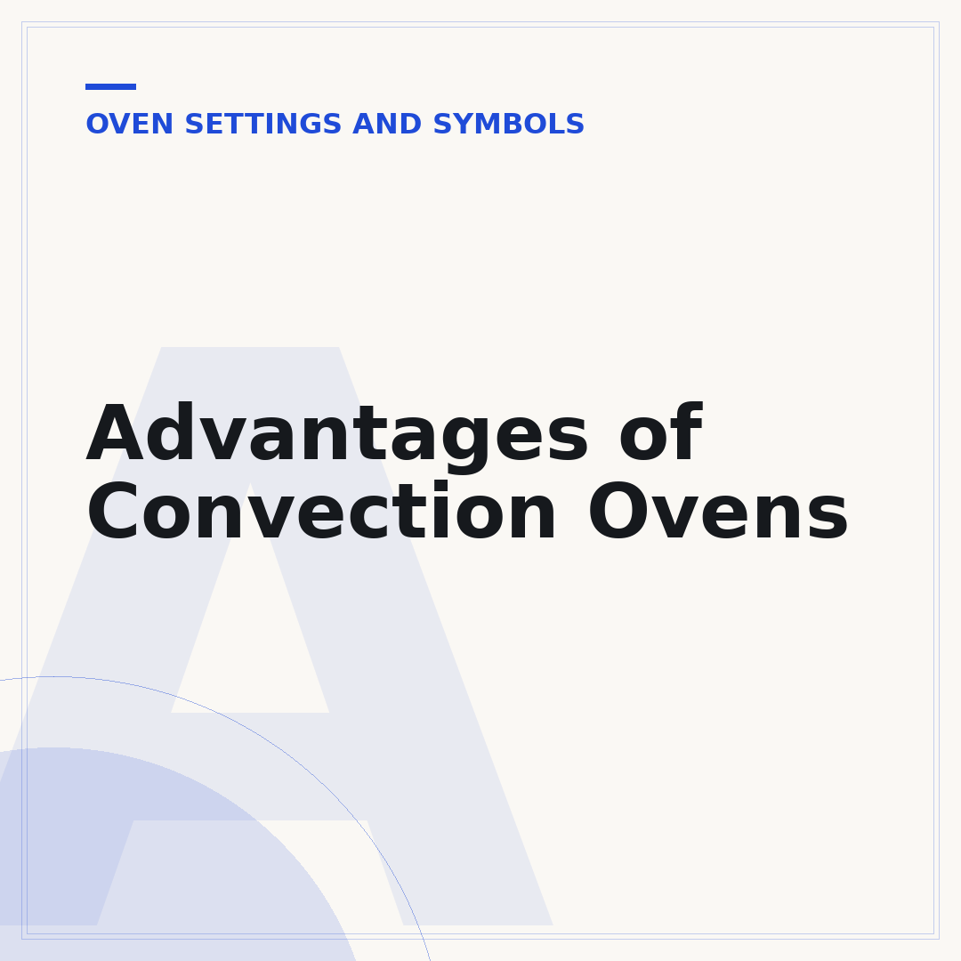 Advantages of Convection Ovens