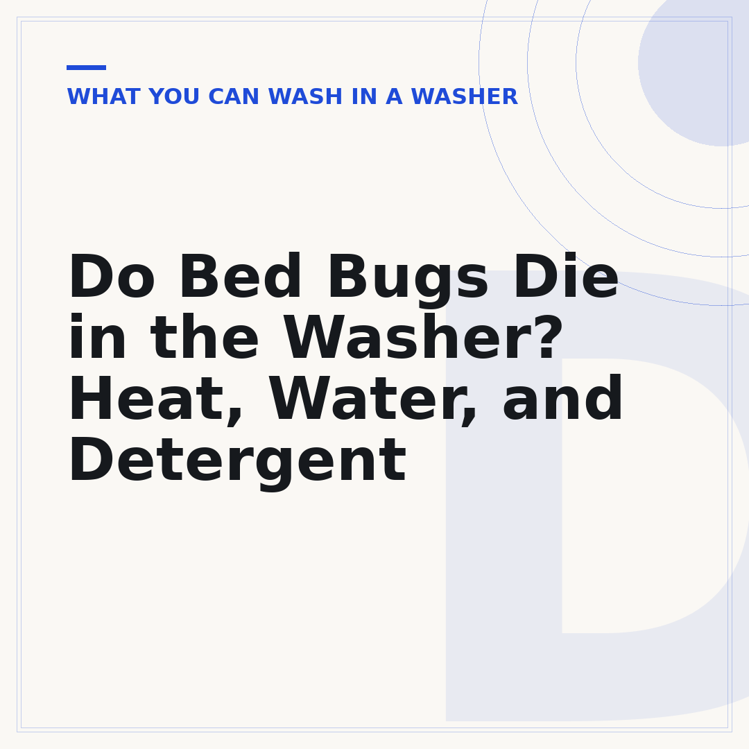 Do Bed Bugs Die in the Washer? Heat, Water, and Detergent