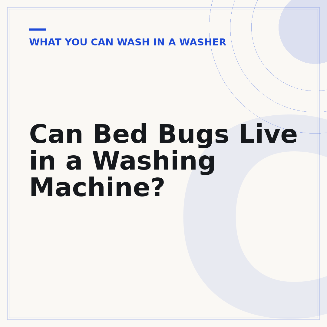 Can Bed Bugs Live in a Washing Machine?