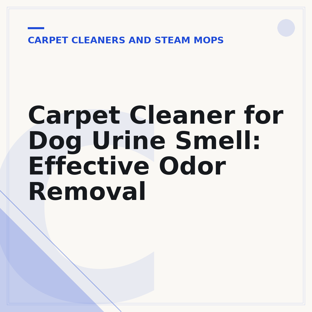 Carpet Cleaner for Dog Urine Smell: Effective Odor Removal