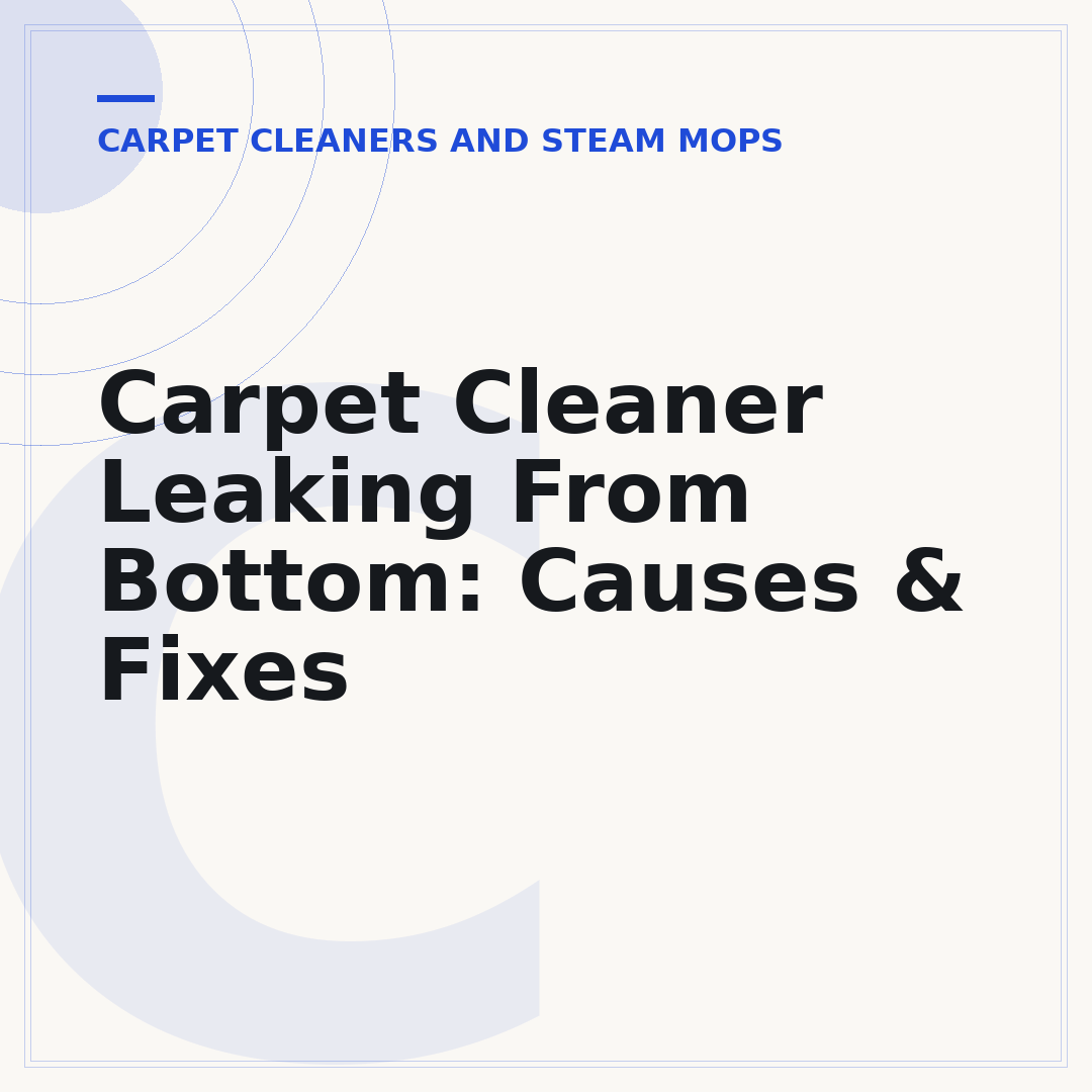 Carpet Cleaner Leaking From Bottom: Causes & Fixes