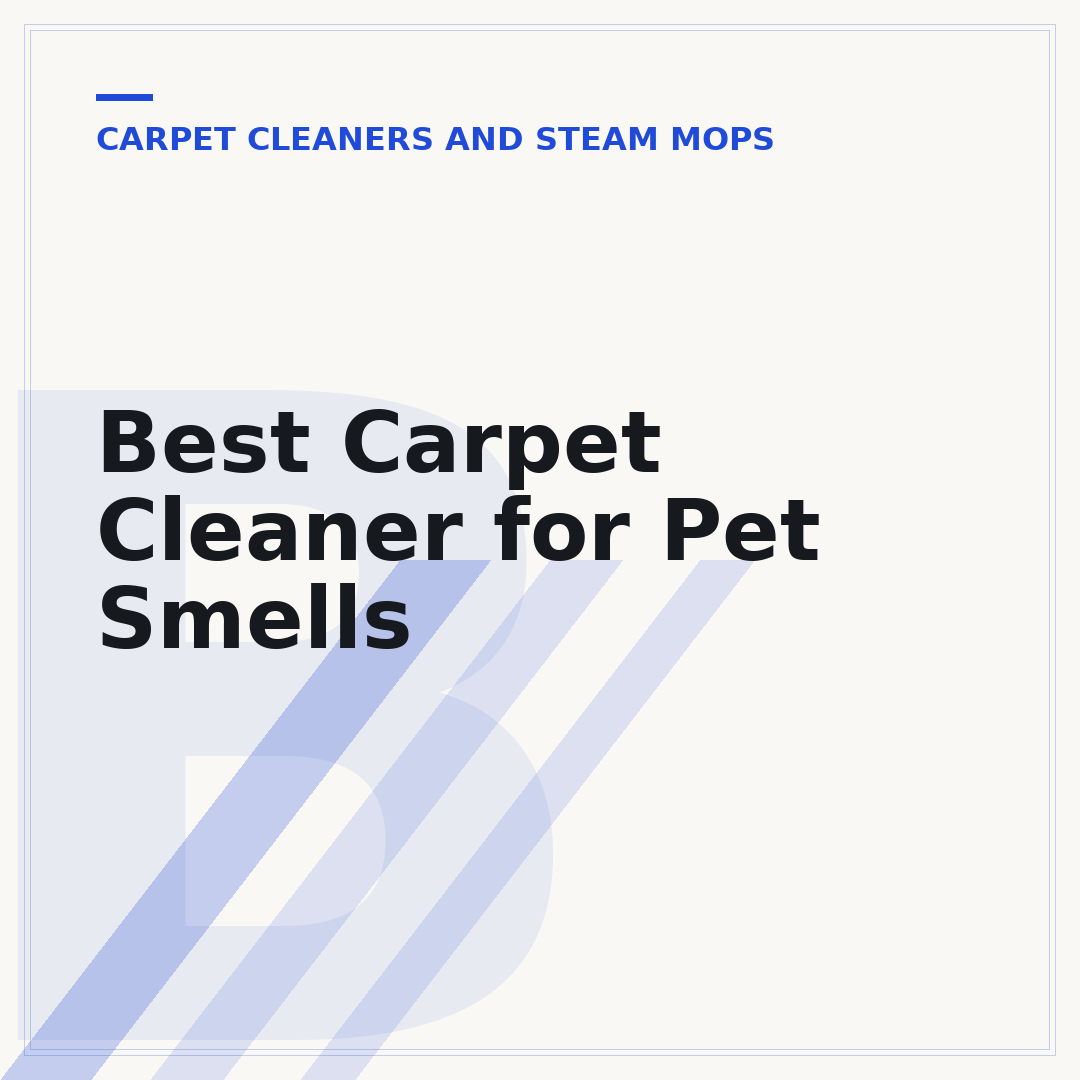 Best Carpet Cleaner for Pet Smells