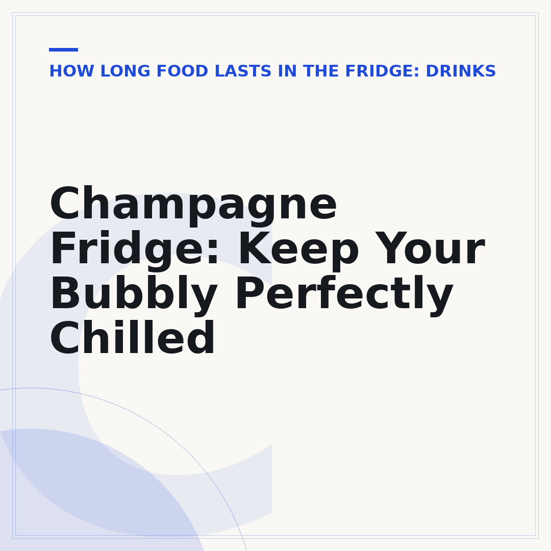 Champagne Fridge: Keep Your Bubbly Perfectly Chilled