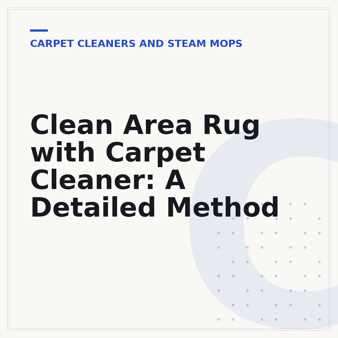 Clean Area Rug with Carpet Cleaner: A Detailed Method