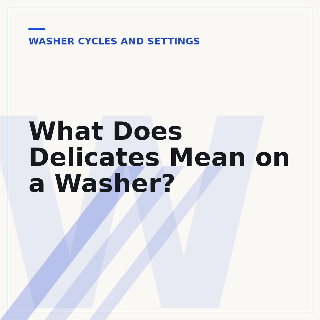 What Does Delicates Mean on a Washer?