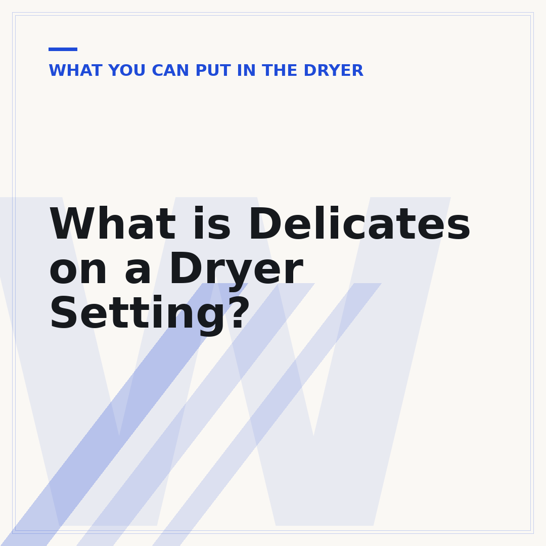 What is Delicates on a Dryer Setting?