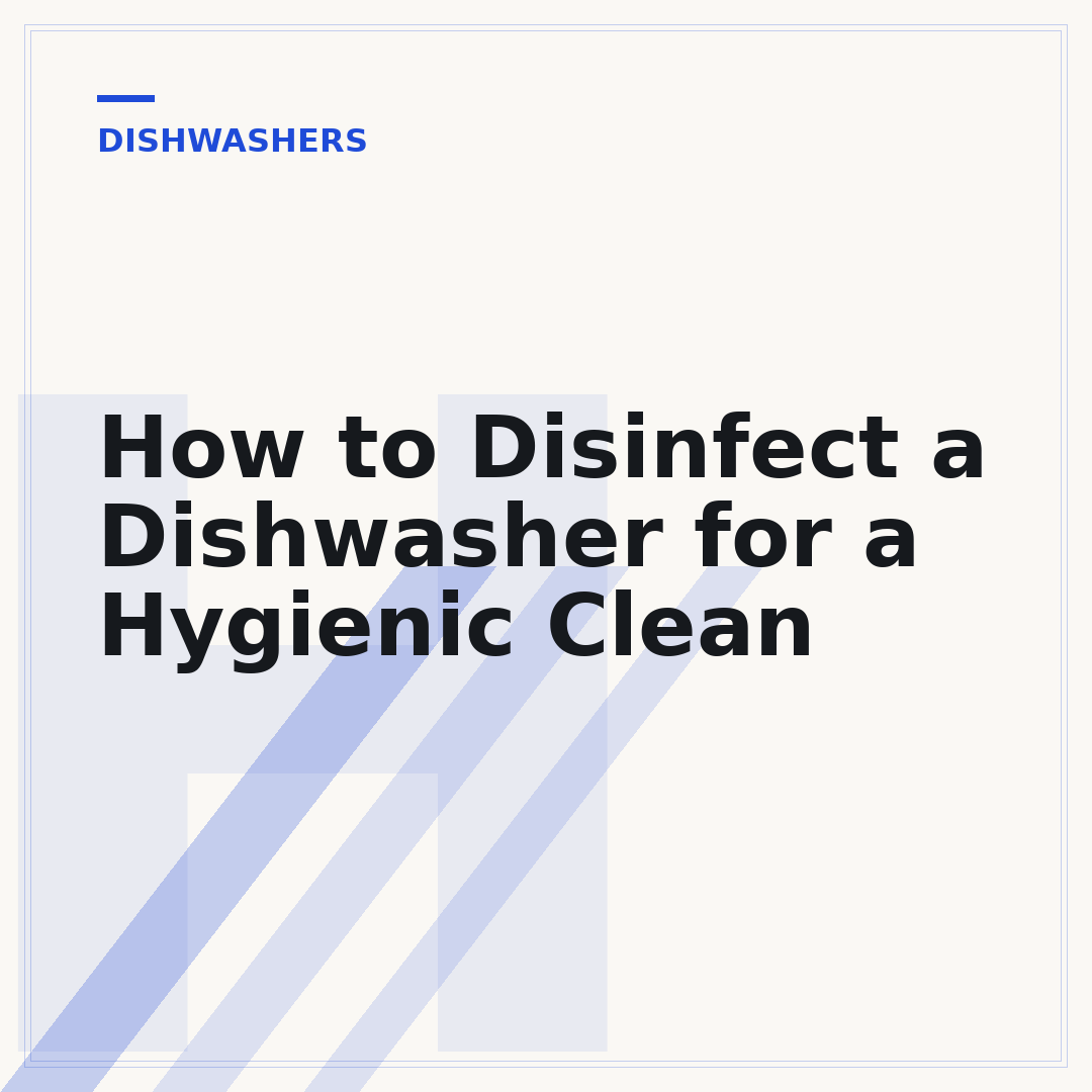 How to Disinfect a Dishwasher for a Hygienic Clean