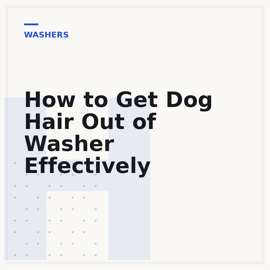 How to Get Dog Hair Out of Washer Effectively
