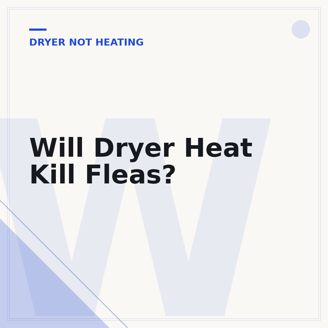 Will Dryer Heat Kill Fleas?