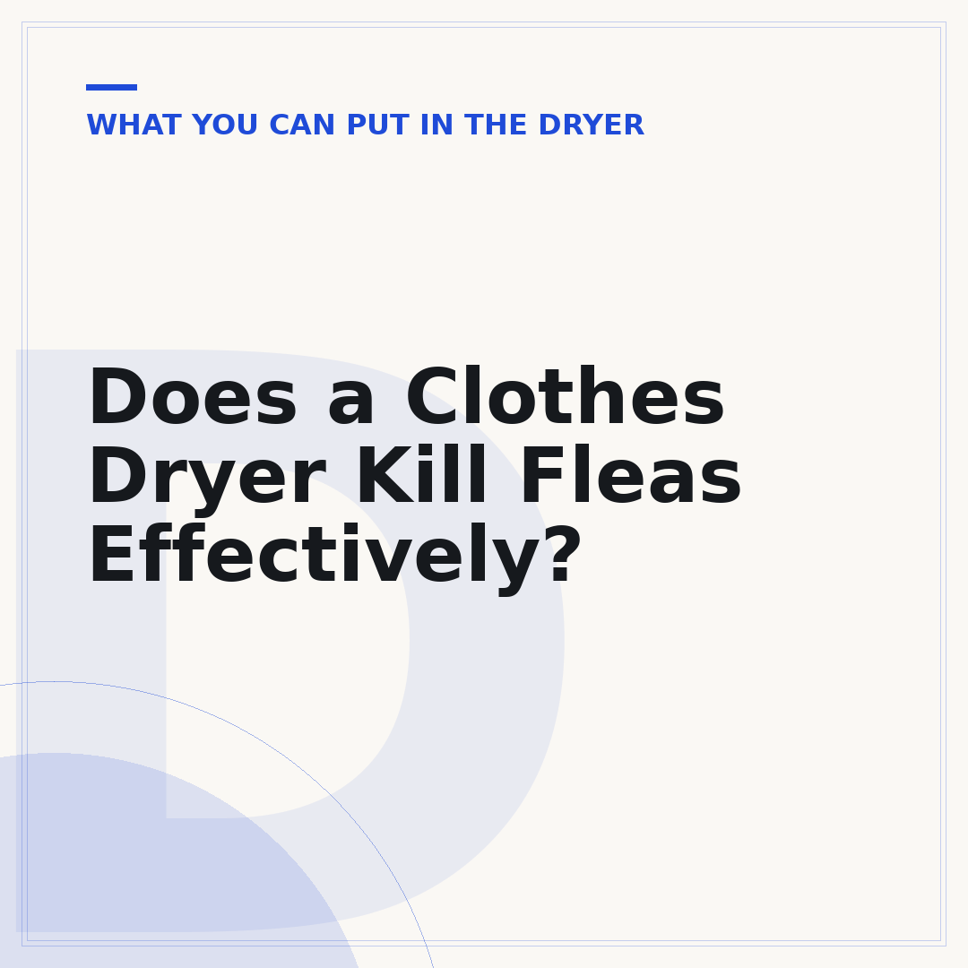 Does a Clothes Dryer Kill Fleas Effectively?