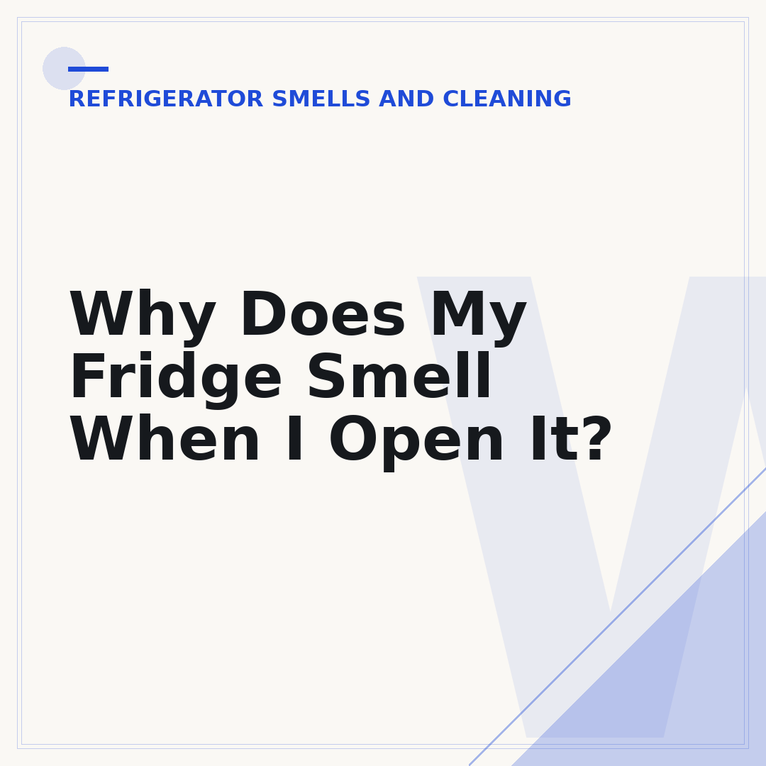 Why Does My Fridge Smell When I Open It?