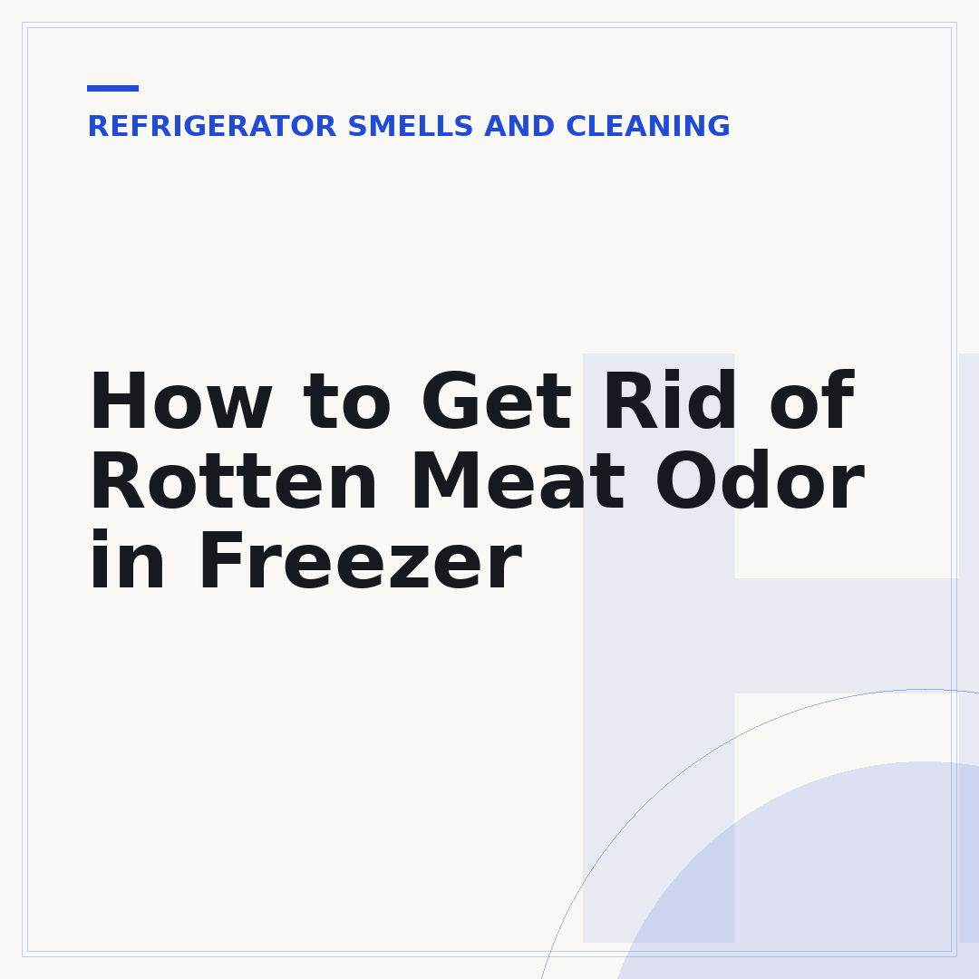 How to Get Rid of Rotten Meat Odor in Freezer