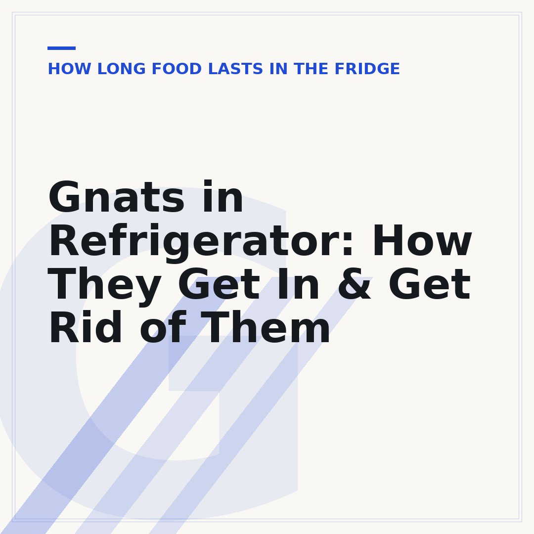 Gnats in Refrigerator: How They Get In & Get Rid of Them