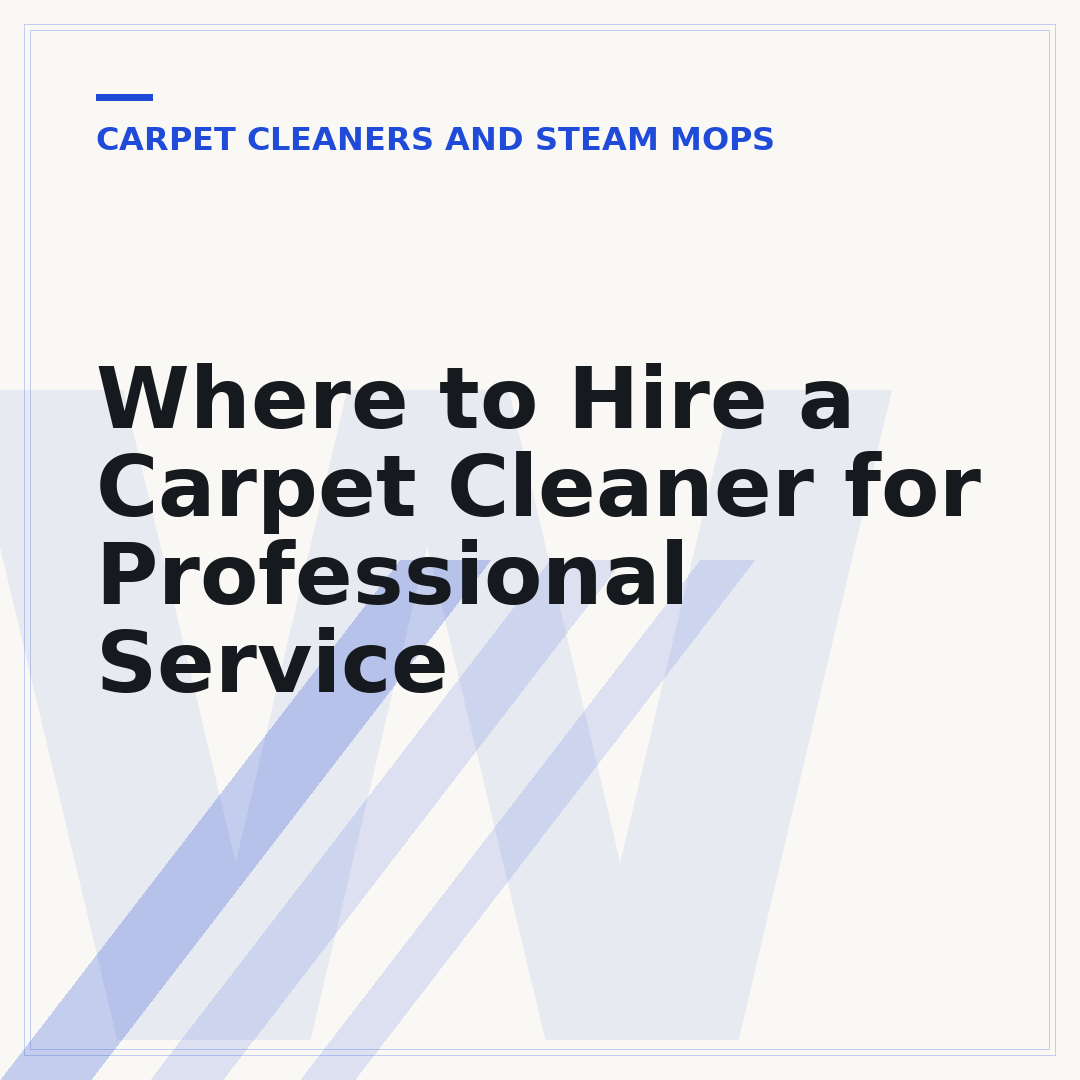 Where to Hire a Carpet Cleaner for Professional Service