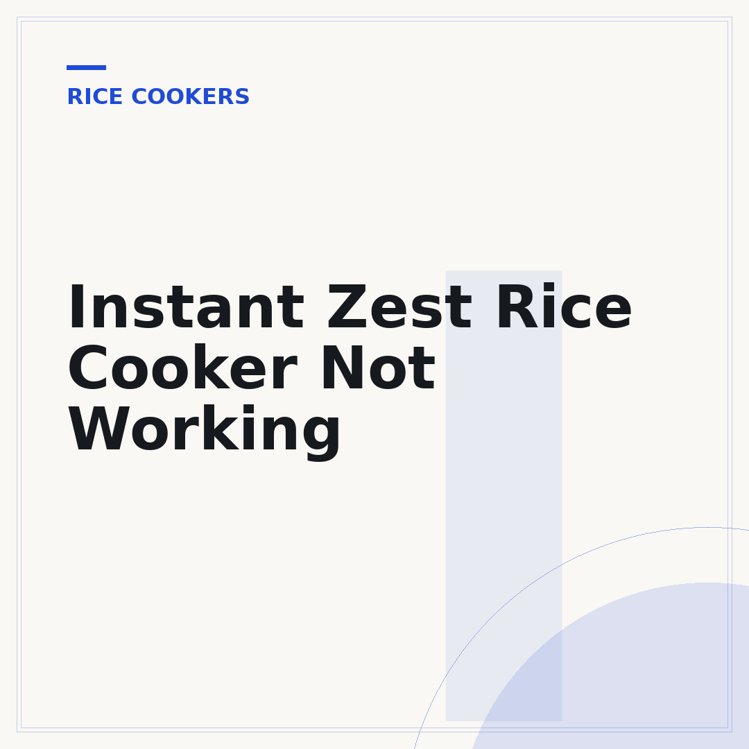 Instant Zest Rice Cooker Not Working