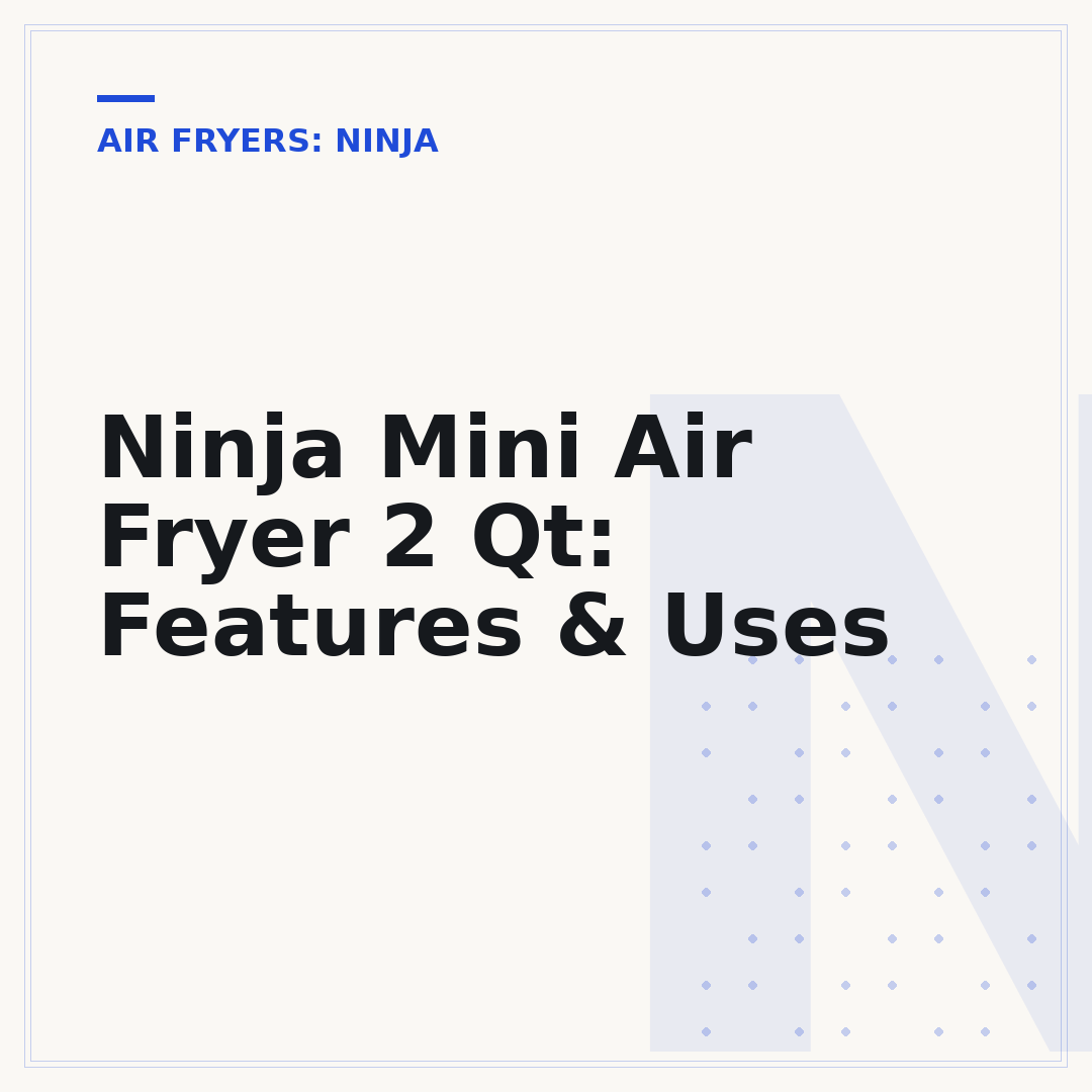 Ninja Mini Air Fryer 2 Qt: Features & Uses