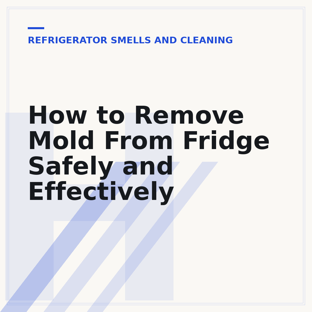 How to Remove Mold From Fridge Safely and Effectively