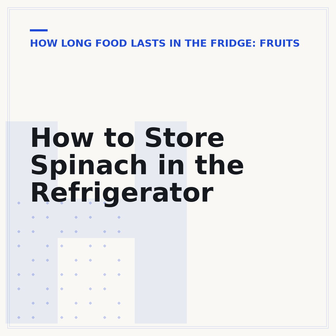 How to Store Spinach in the Refrigerator