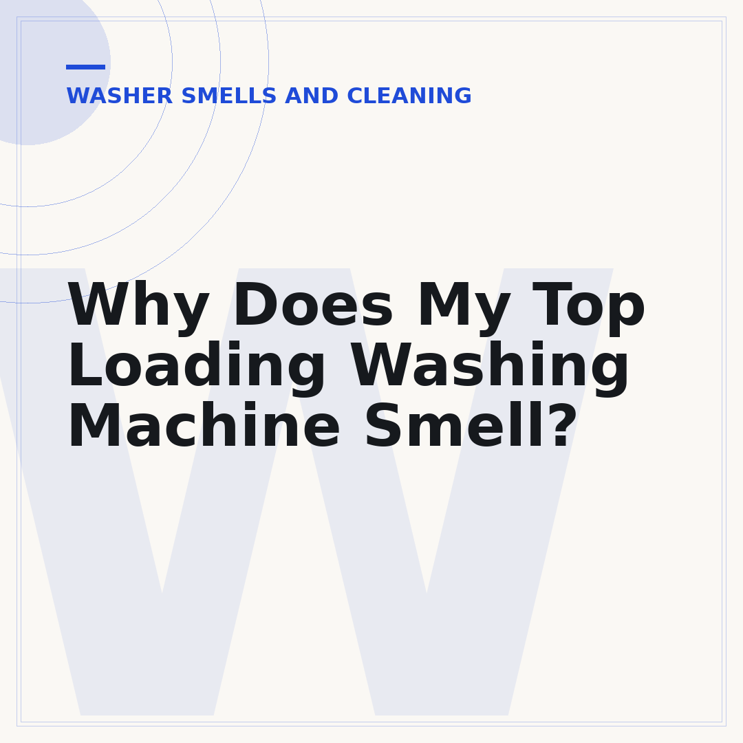Why Does My Top Loading Washing Machine Smell?