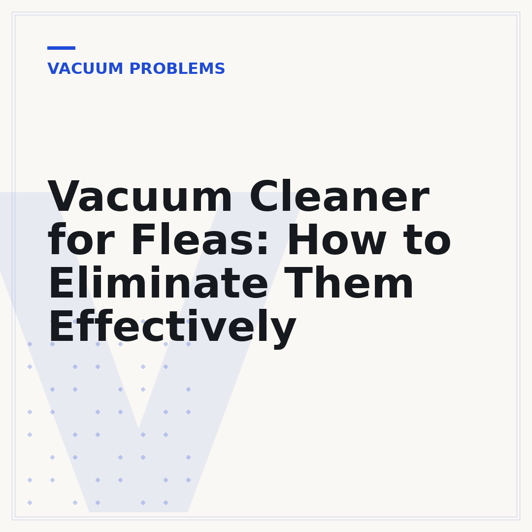 Vacuum Cleaner for Fleas: How to Eliminate Them Effectively