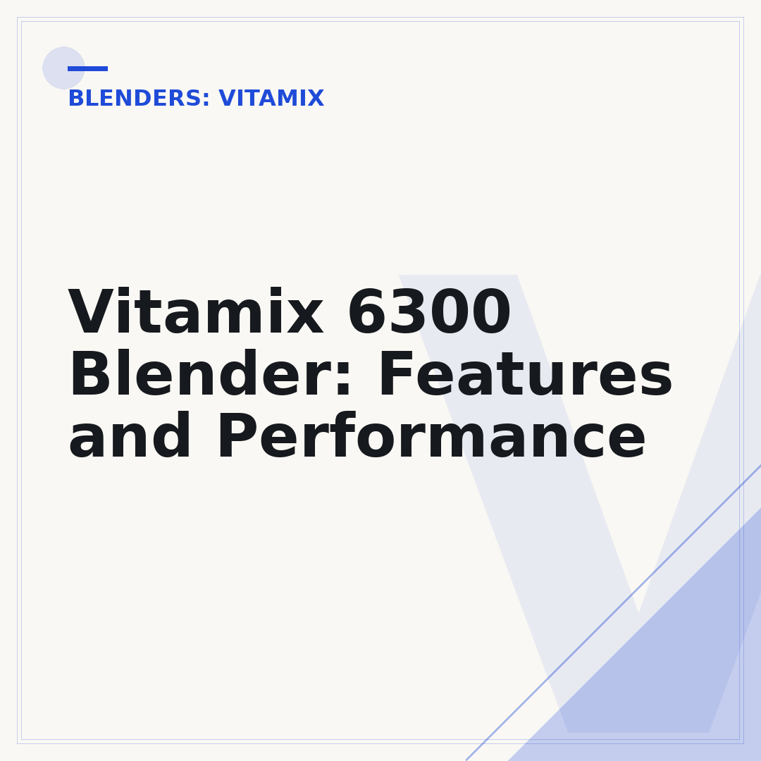 Vitamix 6300 Blender: Features and Performance