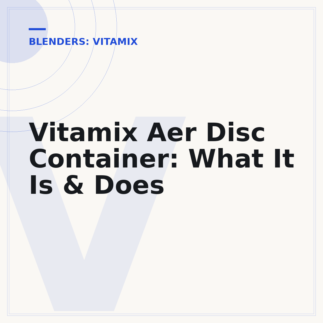 Vitamix Aer Disc Container: What It Is & Does