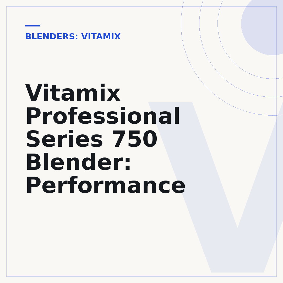 Vitamix Professional Series 750 Blender: Performance